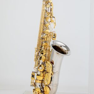 Eb Alto Saxophone Multi-Color OEM Series – Wholesale Guide for Distributors & Music Store